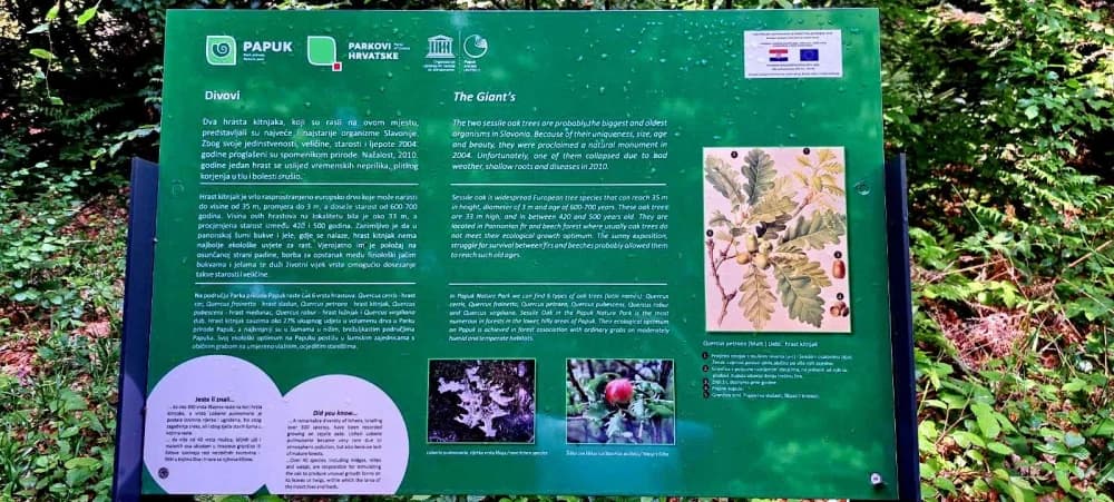 FOTO: Planinari HPD Gojzerice na izletu u arboretum Lisičine 
