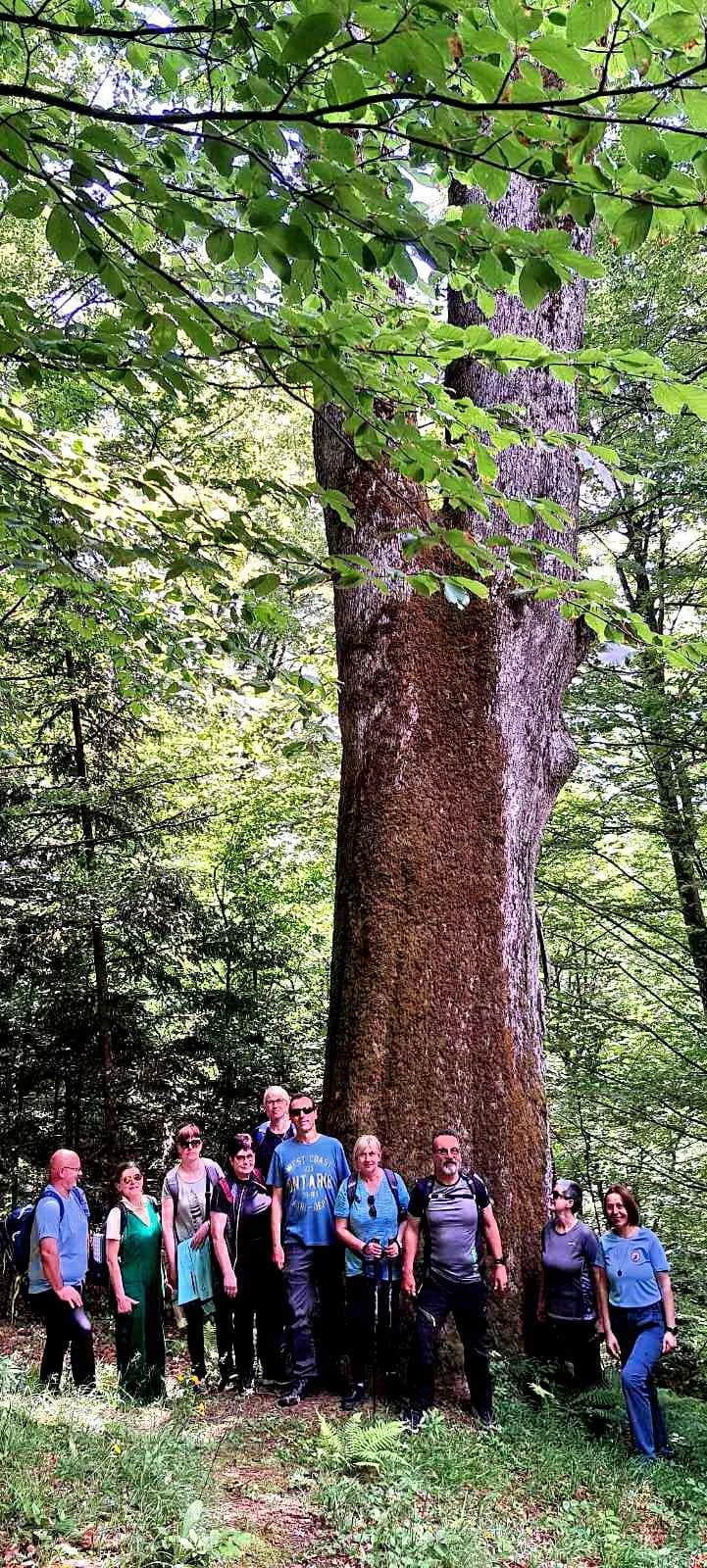 FOTO: Planinari HPD Gojzerice na izletu u arboretum Lisičine 