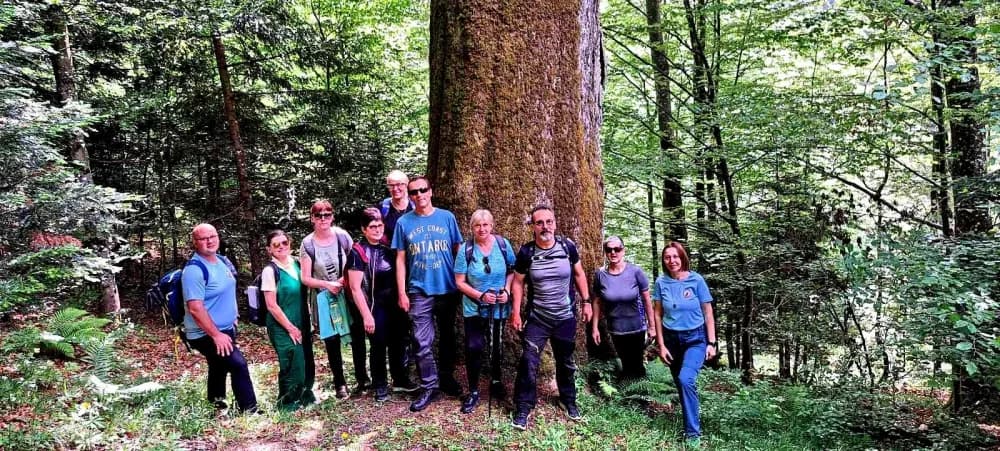 FOTO: Planinari HPD Gojzerice na izletu u arboretum Lisičine 