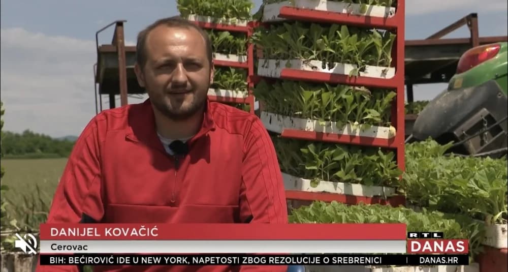 Braća Kovačić iz Cerovca: ’’Ostavili smo poslove s lijepim uvjetima da bismo se bavili poljoprivredom’’
