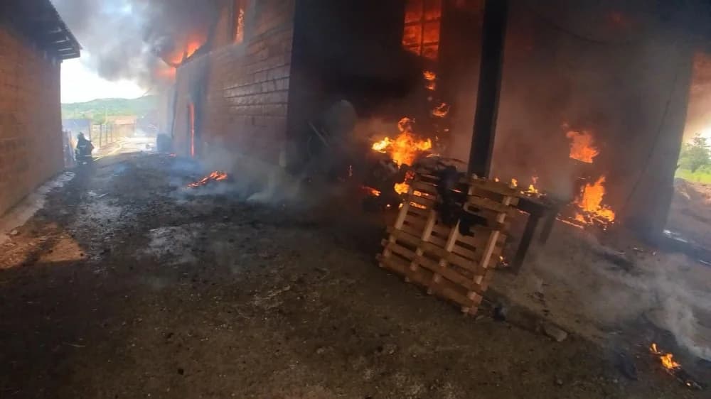 20 vatrogasaca jučer gasilo požar svinjca u D. Emovcima. Izgorjele svinje, strojevi, oprema...