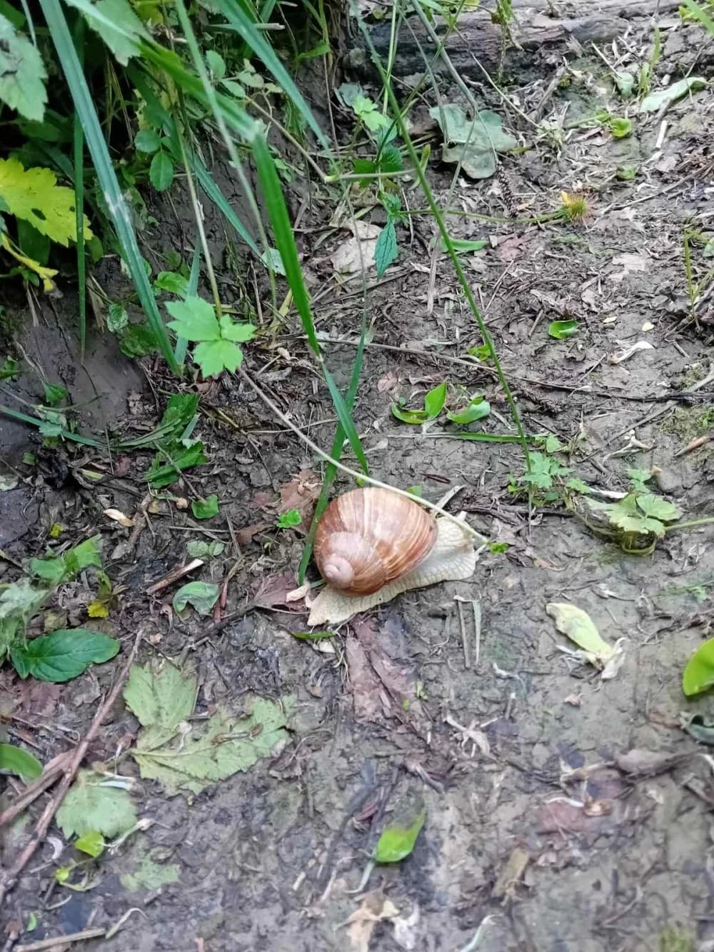 FOTO: Izlet nepoznatim stazama Požeške gore