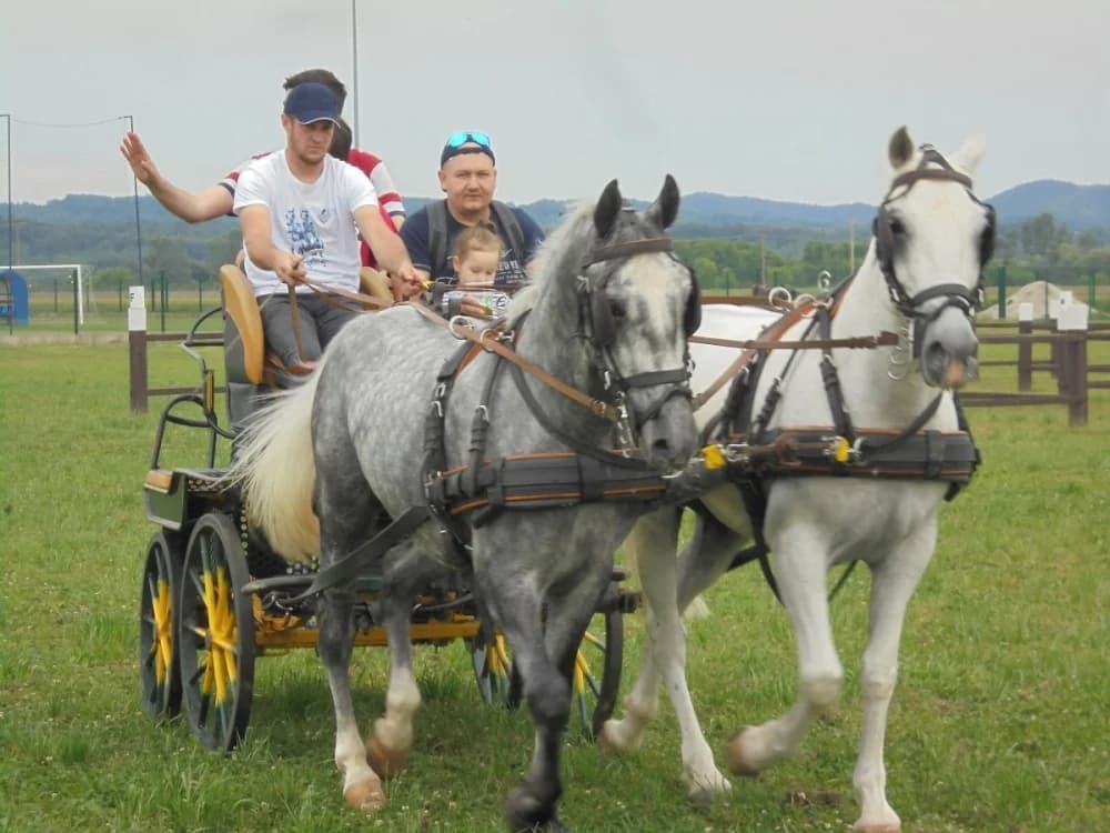 FOTO: Konjički klub Pleternica otvorio vrata svim generacijama