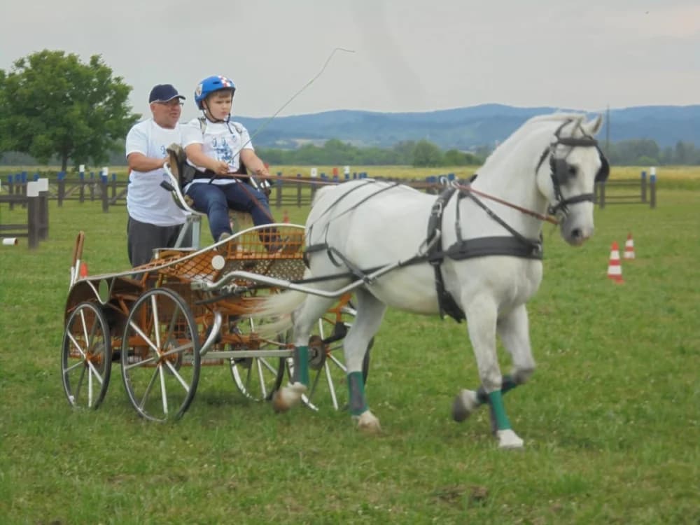 FOTO: Konjički klub Pleternica otvorio vrata svim generacijama
