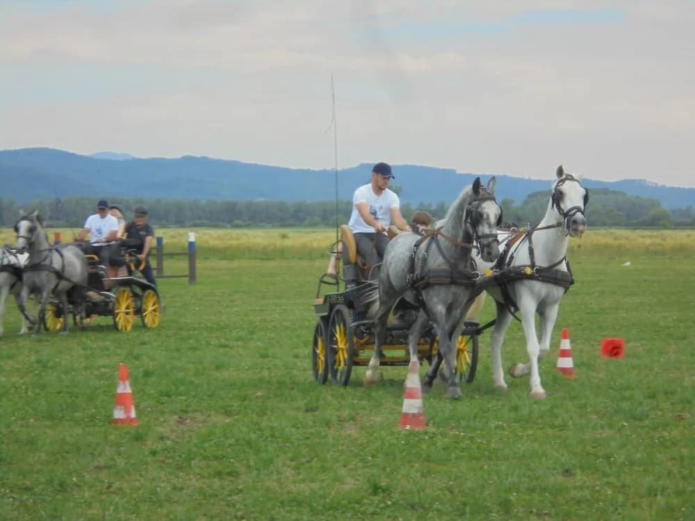 FOTO: Konjički klub Pleternica otvorio vrata svim generacijama