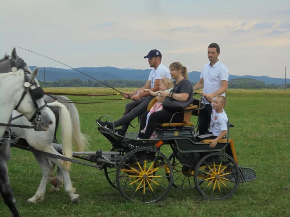 FOTO: Konjički klub Pleternica otvorio vrata svim generacijama