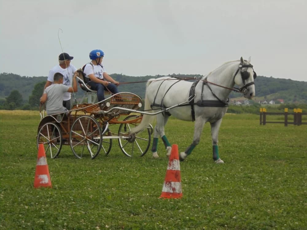 FOTO: Konjički klub Pleternica otvorio vrata svim generacijama