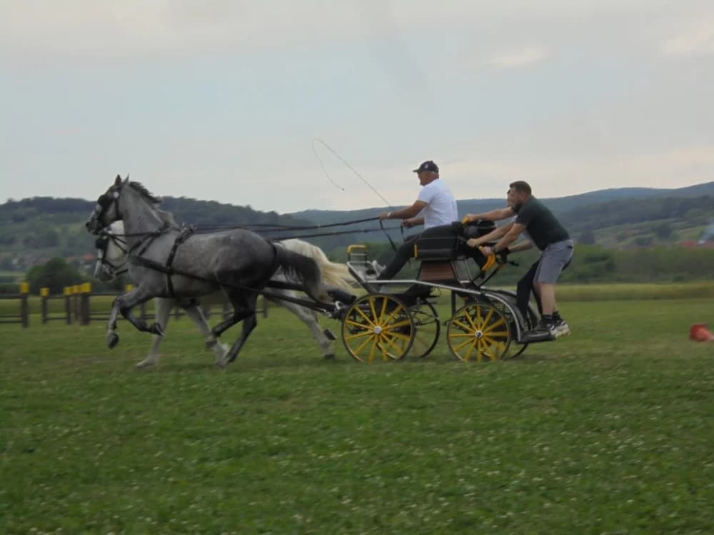 FOTO: Konjički klub Pleternica otvorio vrata svim generacijama