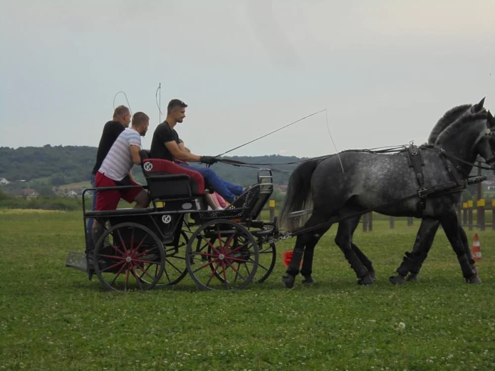 FOTO: Konjički klub Pleternica otvorio vrata svim generacijama