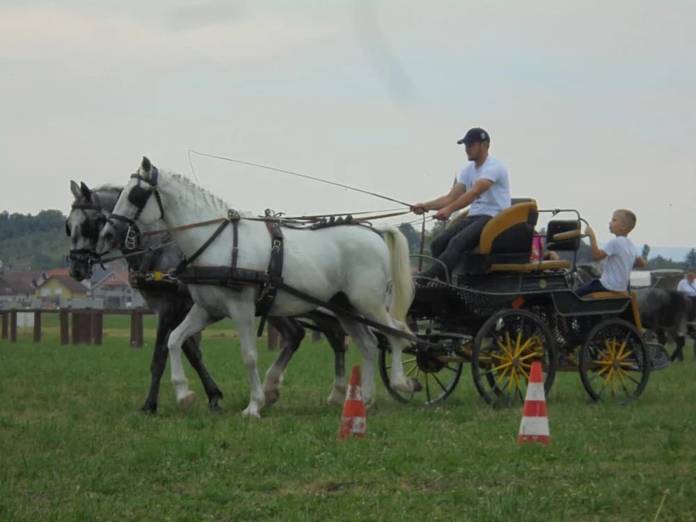 FOTO: Konjički klub Pleternica otvorio vrata svim generacijama