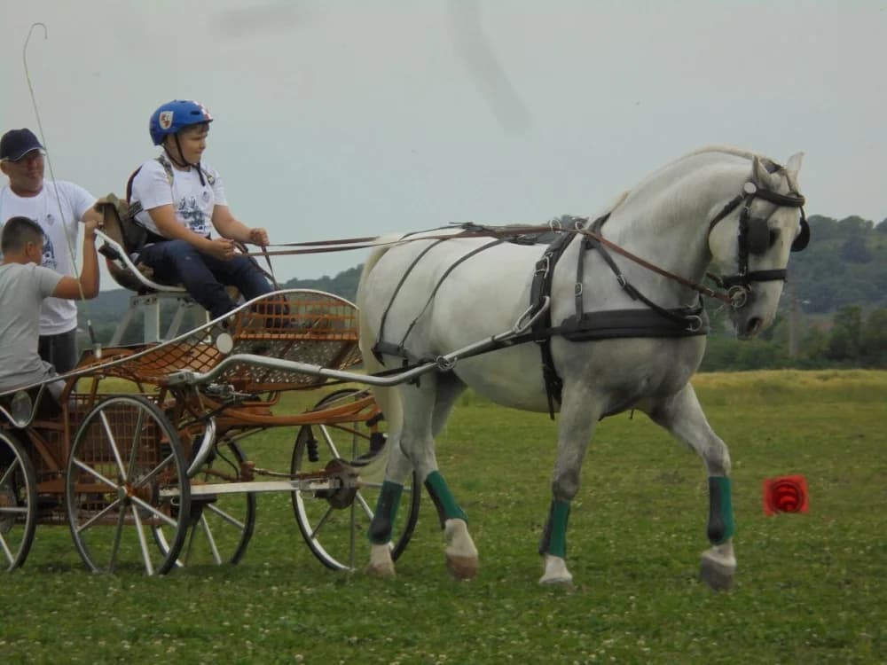FOTO: Konjički klub Pleternica otvorio vrata svim generacijama