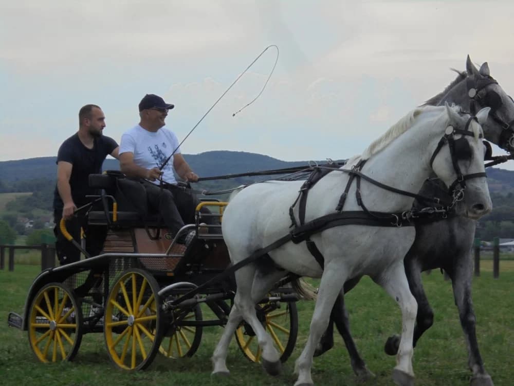 FOTO: Konjički klub Pleternica otvorio vrata svim generacijama