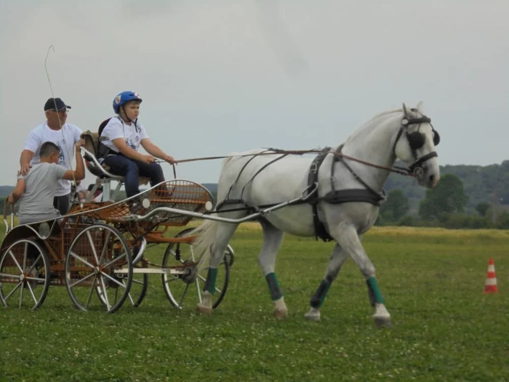 FOTO: Konjički klub Pleternica otvorio vrata svim generacijama