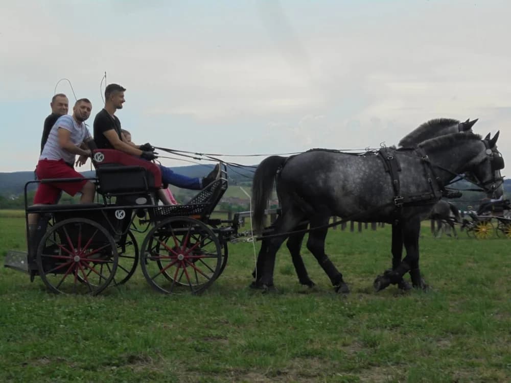 FOTO: Konjički klub Pleternica otvorio vrata svim generacijama