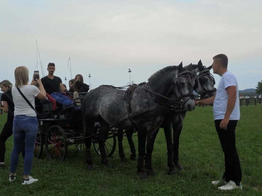 FOTO: Konjički klub Pleternica otvorio vrata svim generacijama