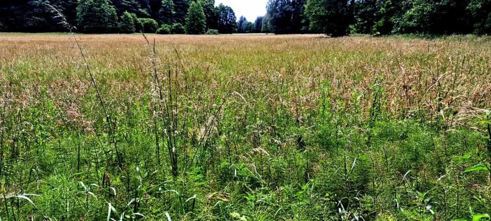 FOTO: Dani hrvatskih planinara na Bilogori