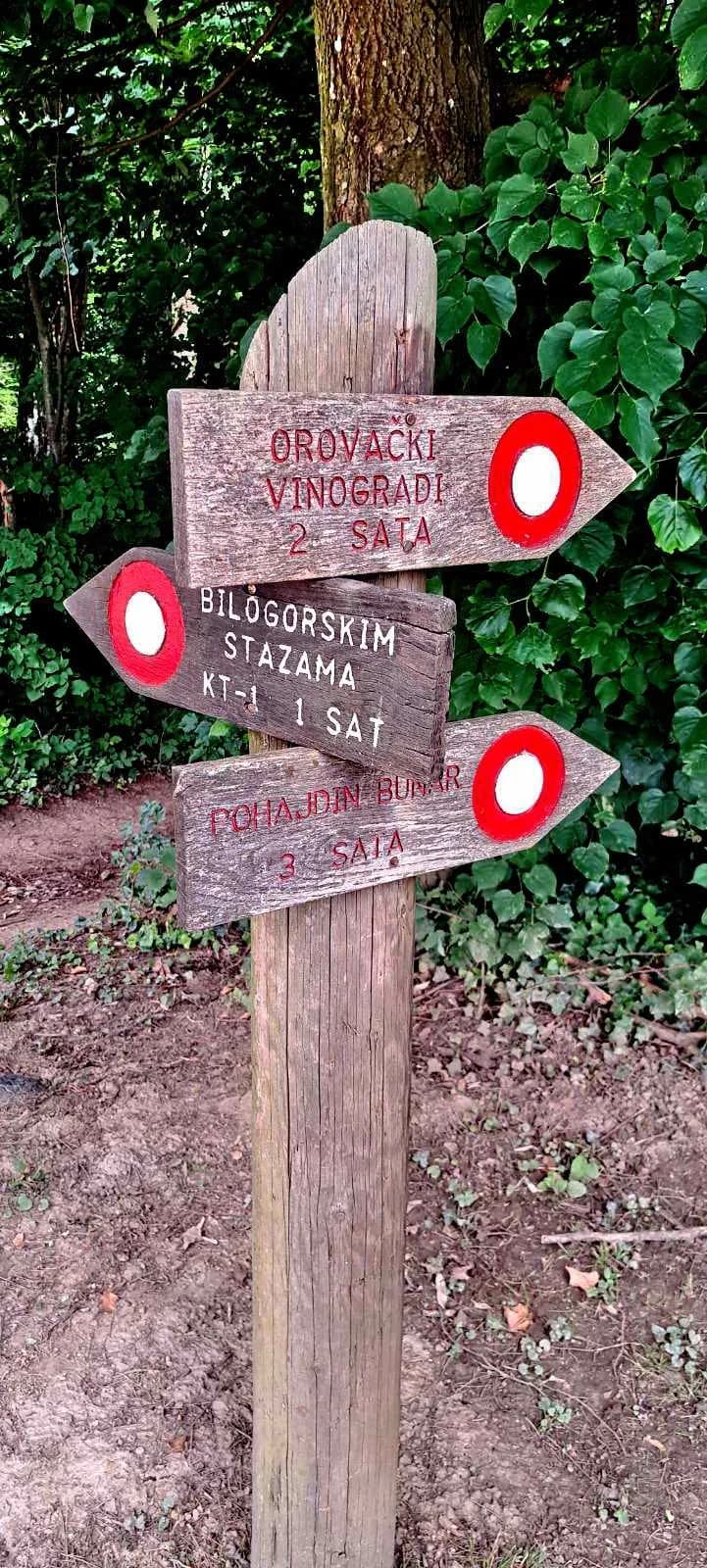 FOTO: Dani hrvatskih planinara na Bilogori