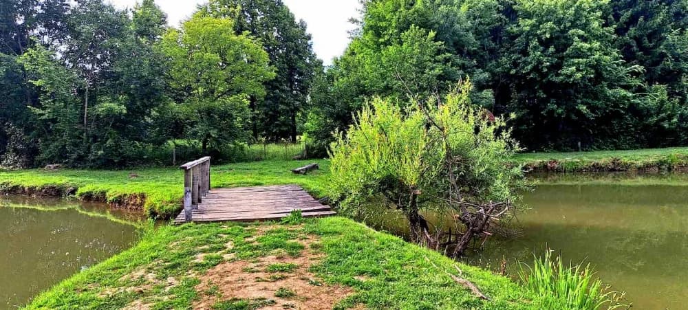 FOTO: Dani hrvatskih planinara na Bilogori
