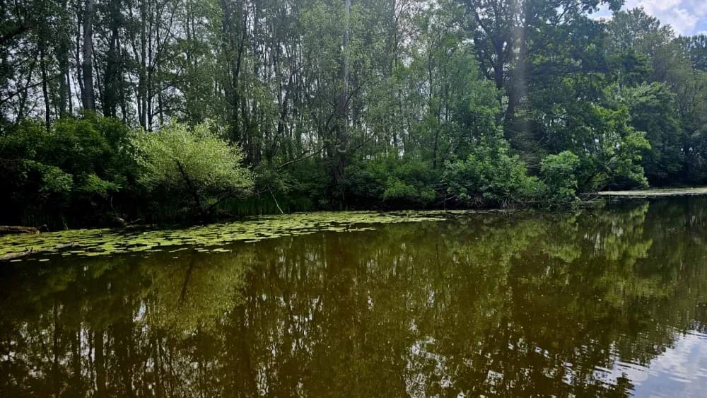 Studijsko putovanje Alumni-ija ’FTRR’ u „ Park prirode Lonjsko polje“