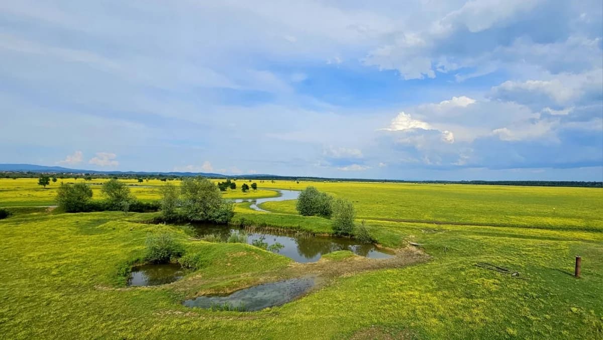 Studijsko putovanje Alumni-ija ’FTRR’ u „ Park prirode Lonjsko polje“