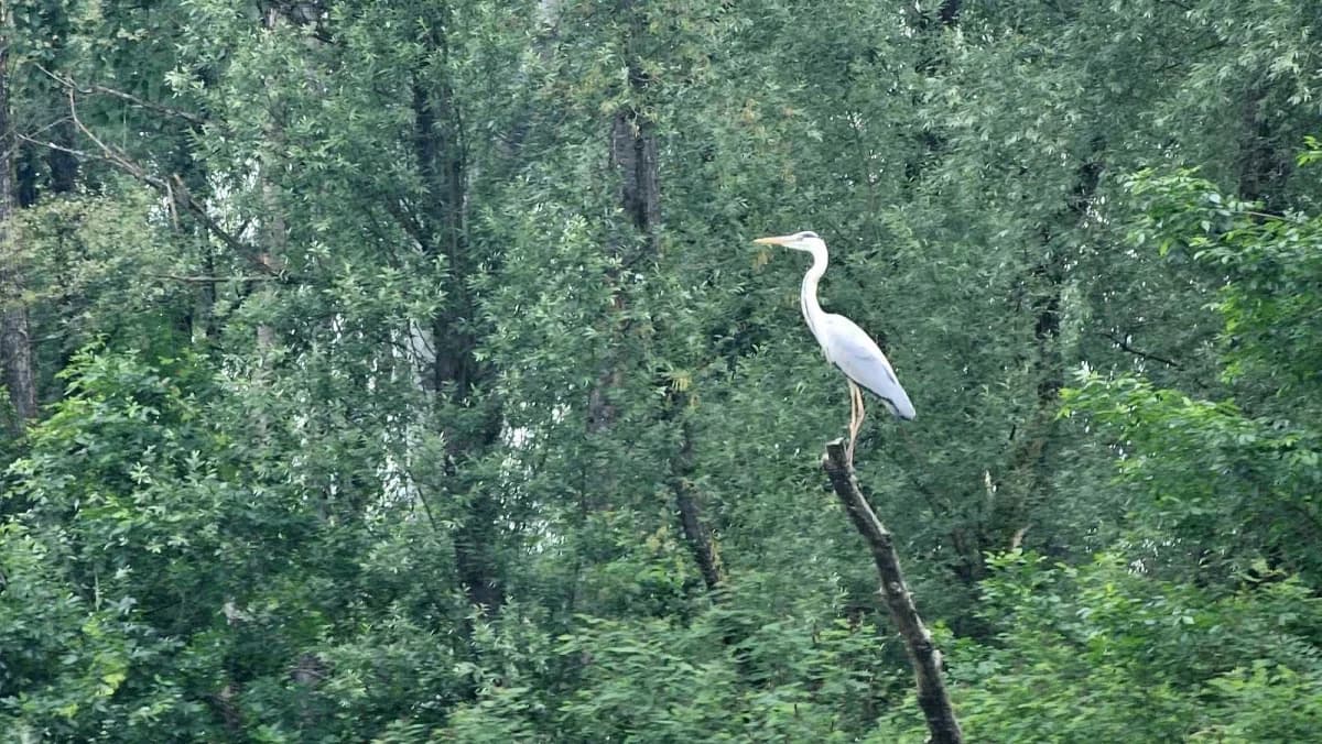 Studijsko putovanje Alumni-ija ’FTRR’ u „ Park prirode Lonjsko polje“
