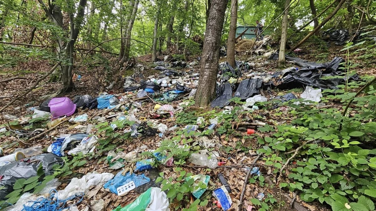 Šuma bez tragova – još jedna ekološka akcija HPD Gojzerica Požega