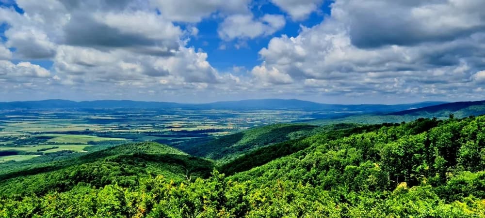 Planinari HPD Gojzerica Dan državnosti proveli na Krndiji