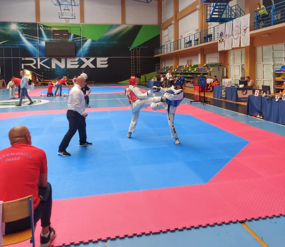 Veličani odlični na taekwon-do turniru u Našicama