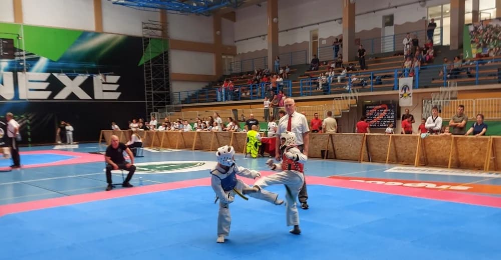 Veličani odlični na taekwon-do turniru u Našicama