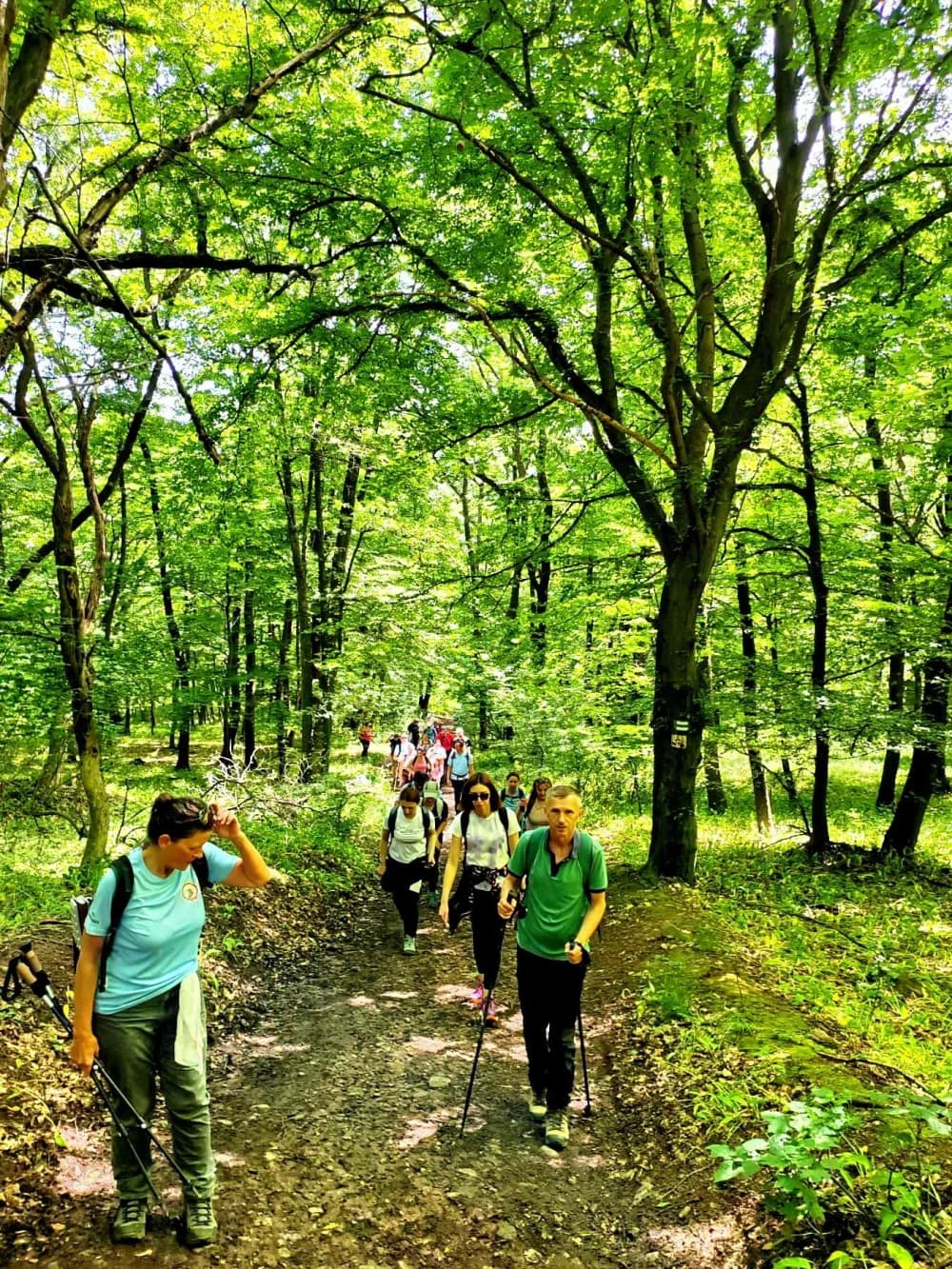 Planinari HPD Gojzerice na izletu u Mecsek Jakob-hegy u Mađarskoj 