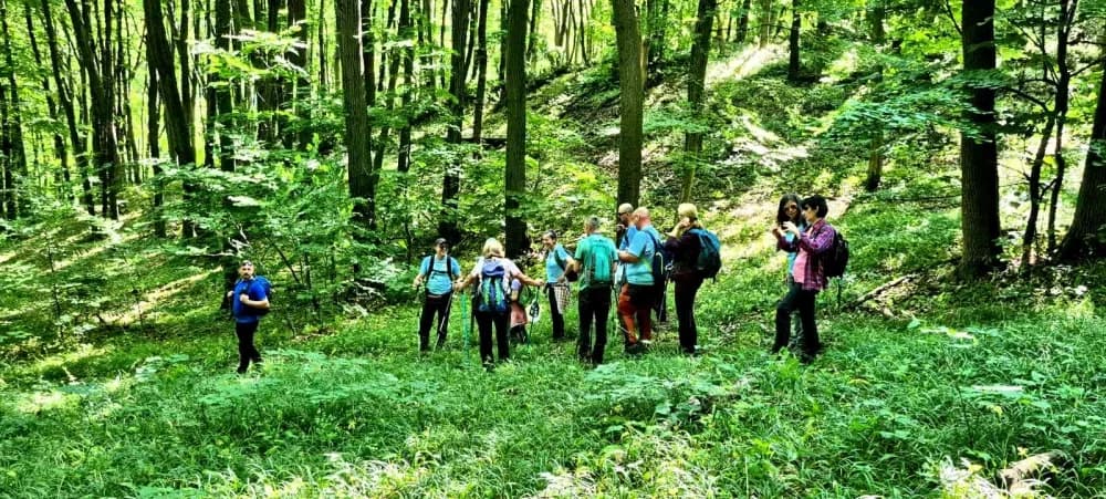 Planinari HPD Gojzerice na izletu u Mecsek Jakob-hegy u Mađarskoj 