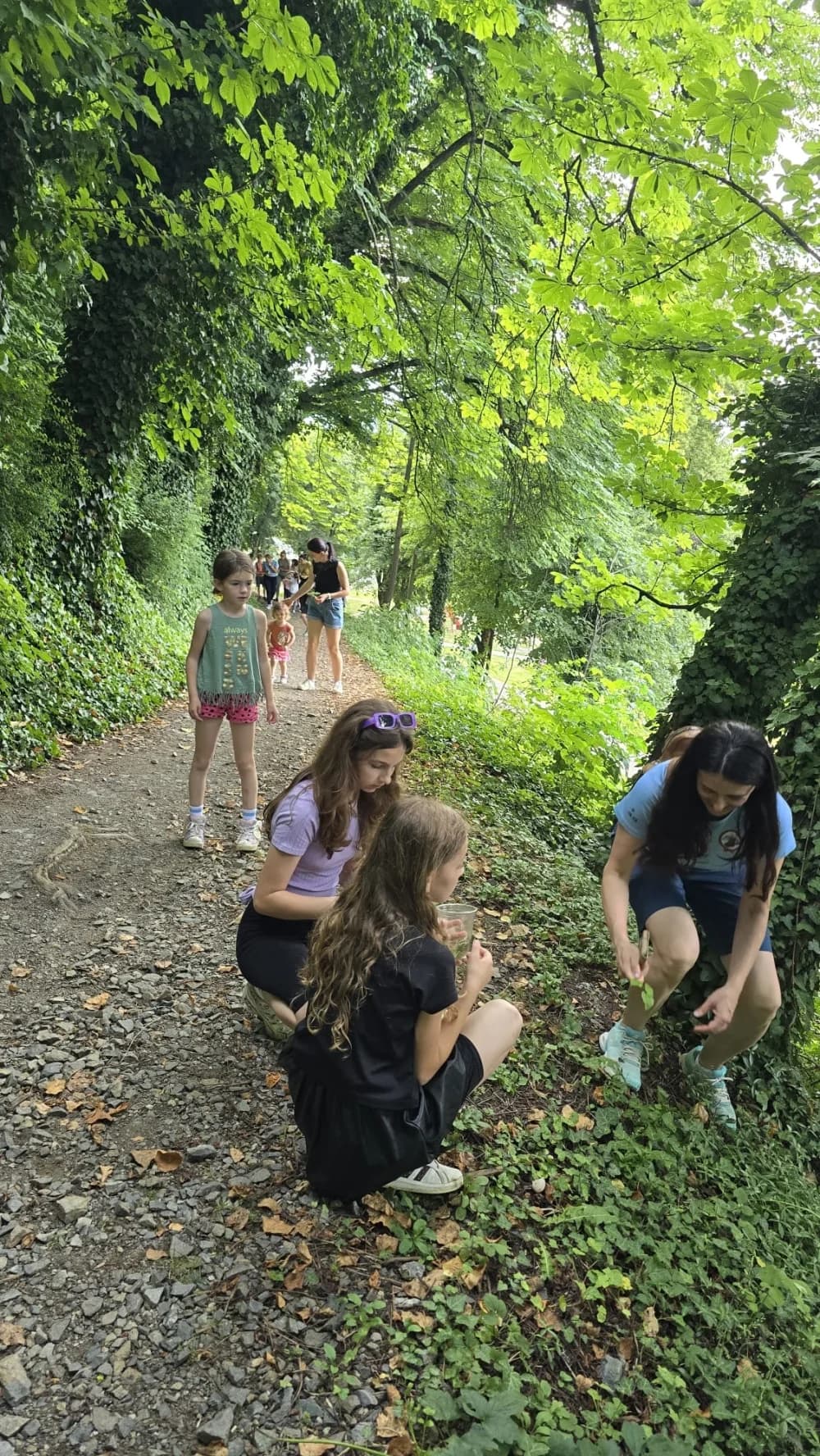Potraga za blagom HPD Gojzerice