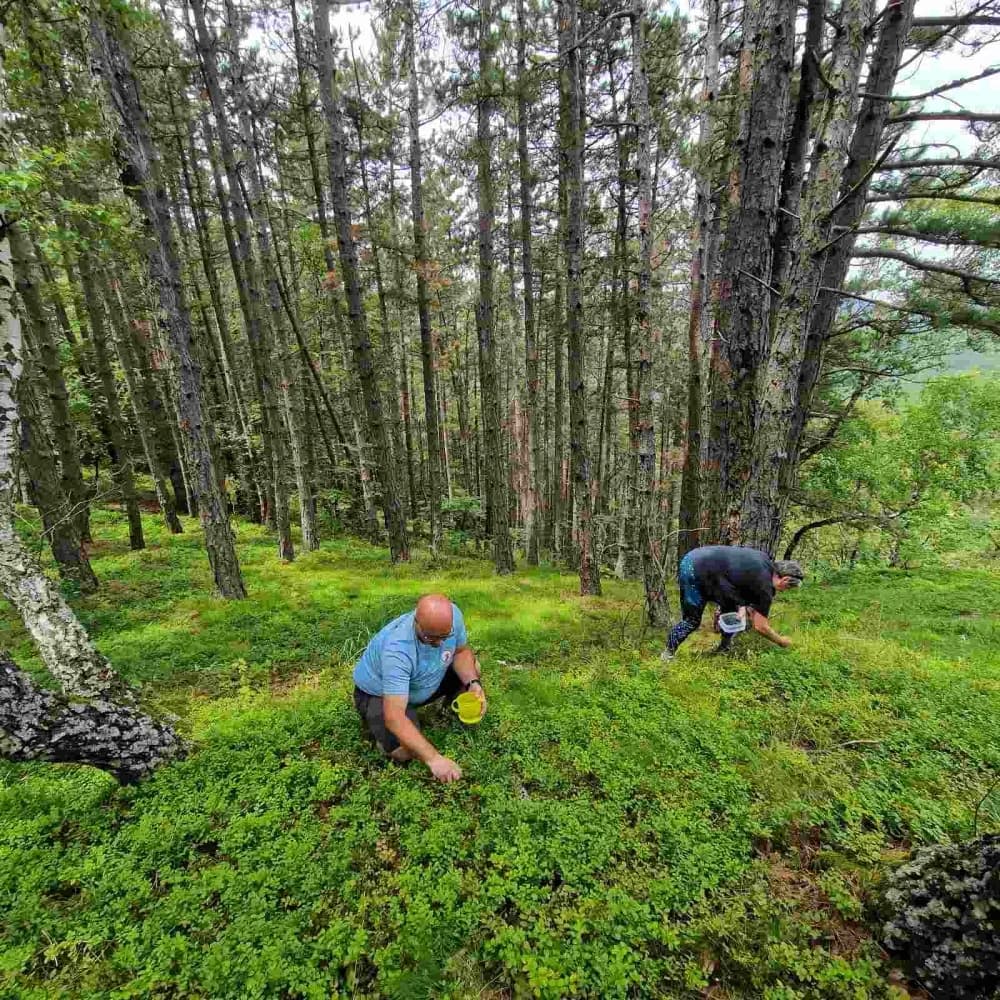 FOTO: Izlet za slijepe i slabovidne osobe ’Pruži mi ruku – Proljeće na Mališćaku“