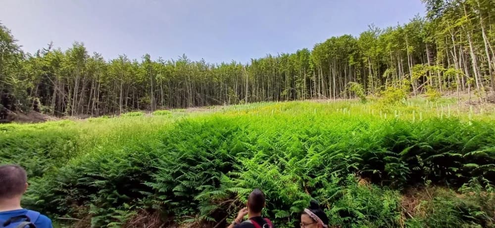 FOTO: Izlet za slijepe i slabovidne osobe ’Pruži mi ruku – Proljeće na Mališćaku“