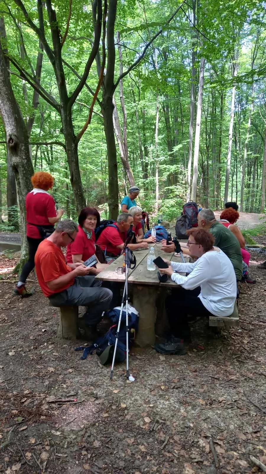 Članovi HPD ’Sokolovac’ Požega na 31. Antunovskom pikniku