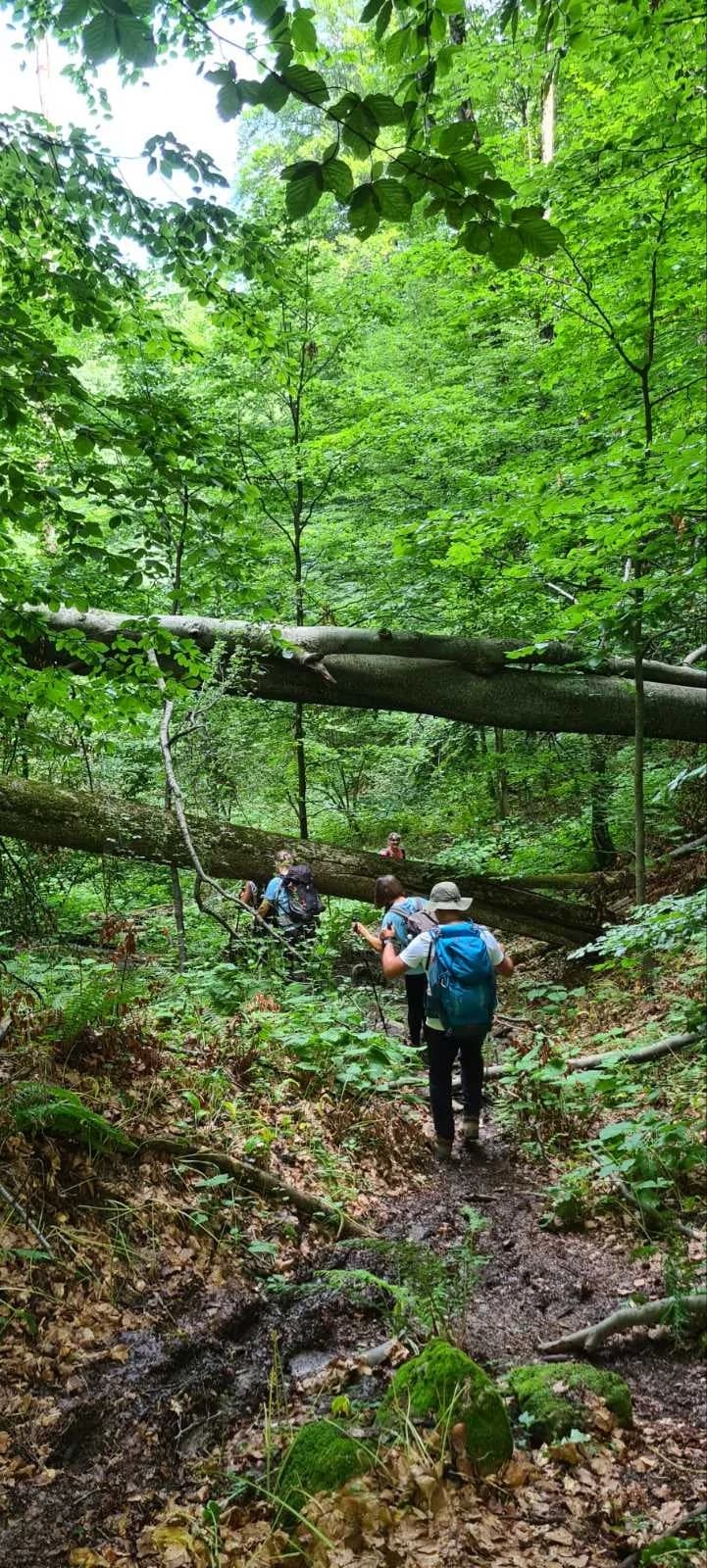 Planinari HPD Gojzerice na izletu na Jankovac