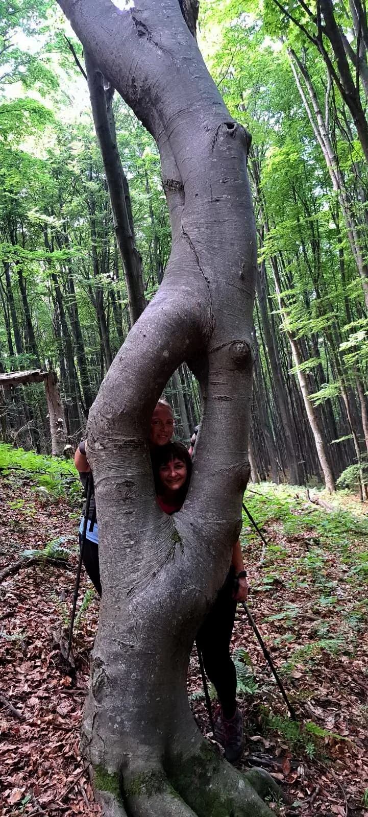 Planinari HPD Gojzerice na izletu na Jankovac