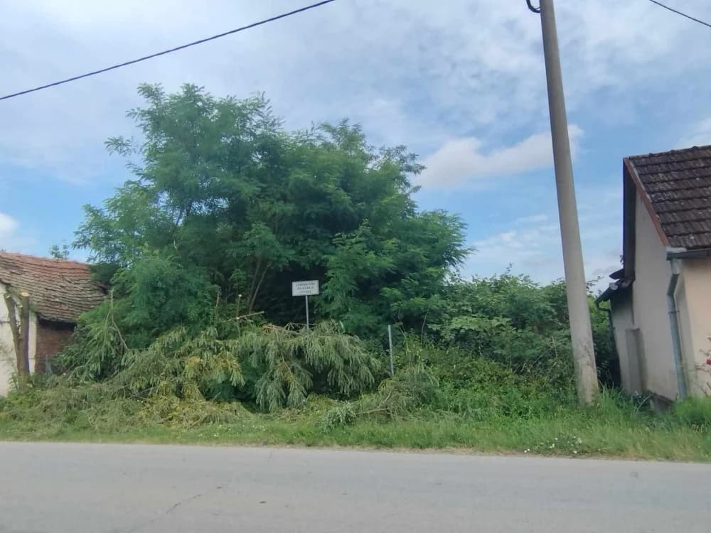 Slika