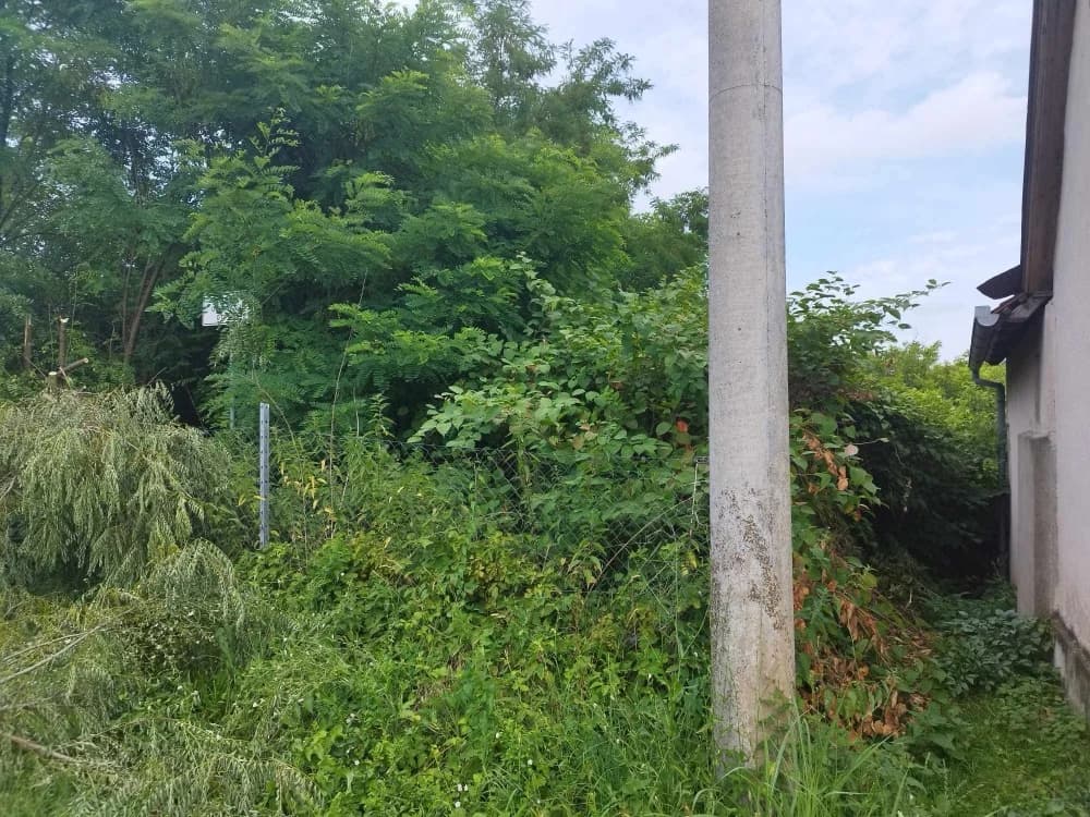 Grad Požega vlasnik je ove šikare u Mihaljevcima koju godinama zanemaruje i ne održava