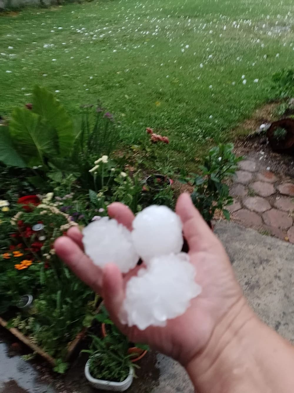 FOTO: Nevrijeme praćeno tučom poharalo istočni dio naše i susjednu županiju