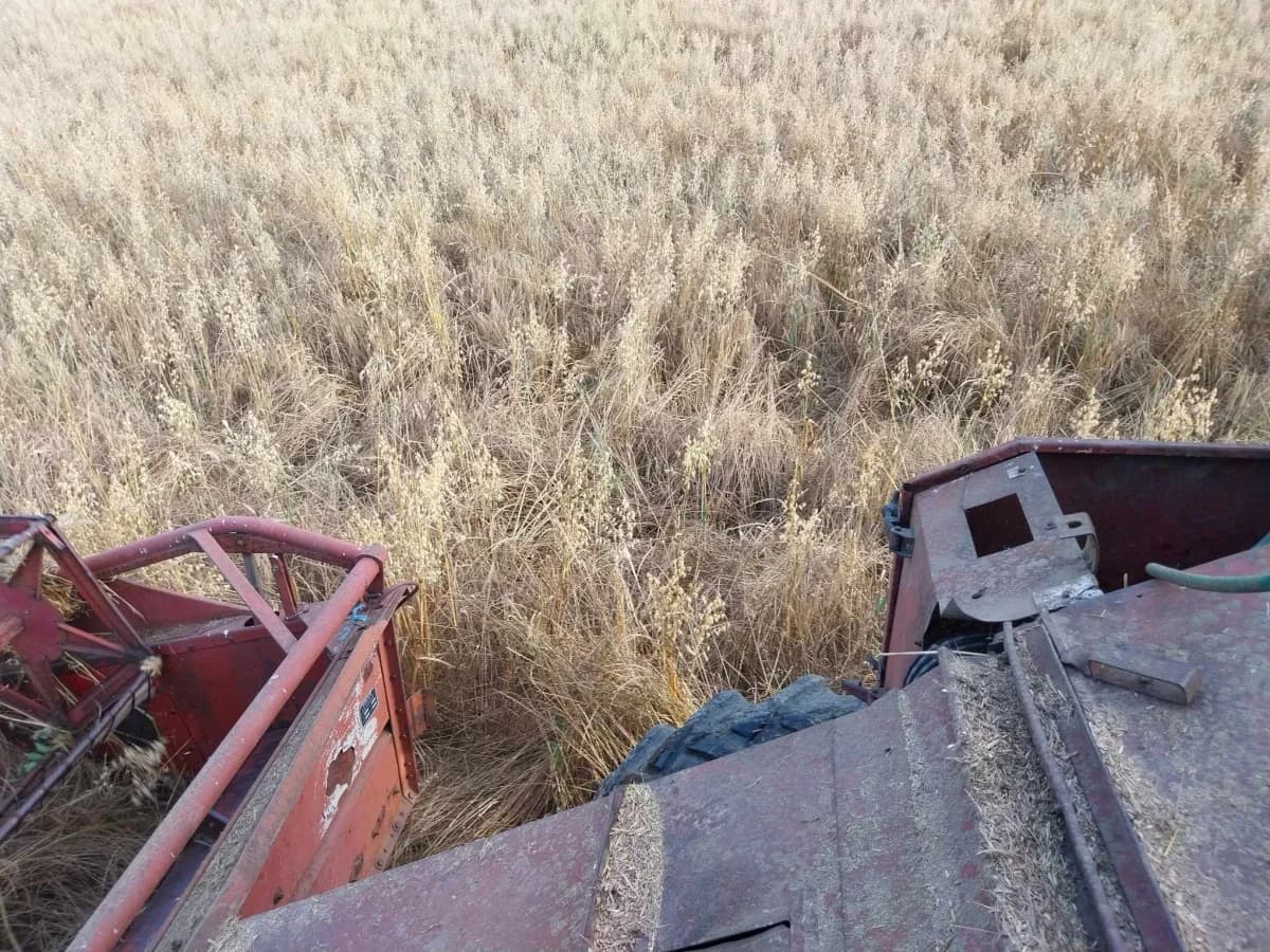 Poljoprivrednici Laza Ćosinih i Komušine očajni zbog štete koju im na usjevima radi divljač