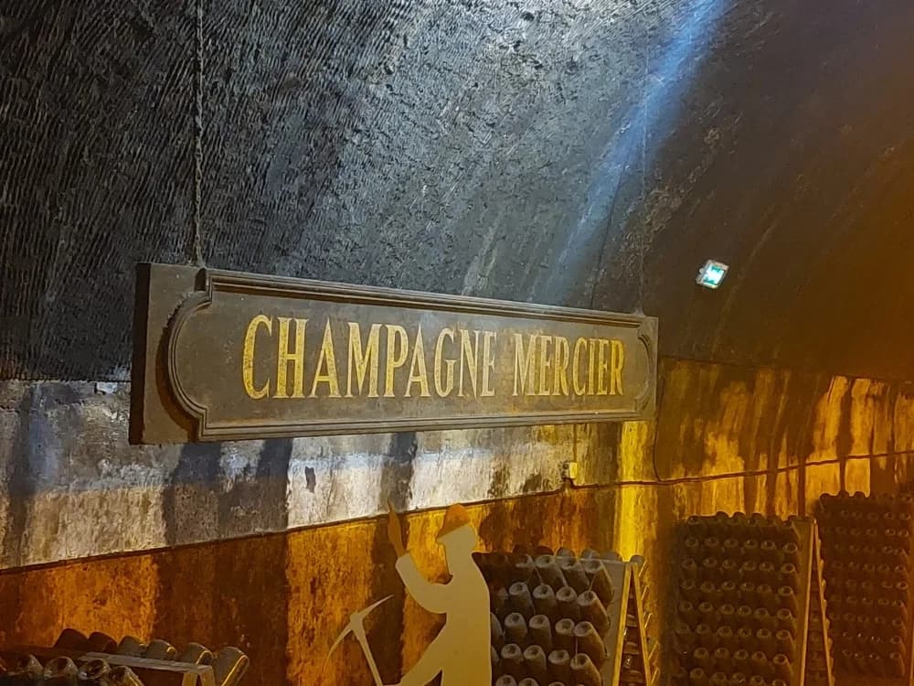 Studijsko putovanje u regiju Champagne