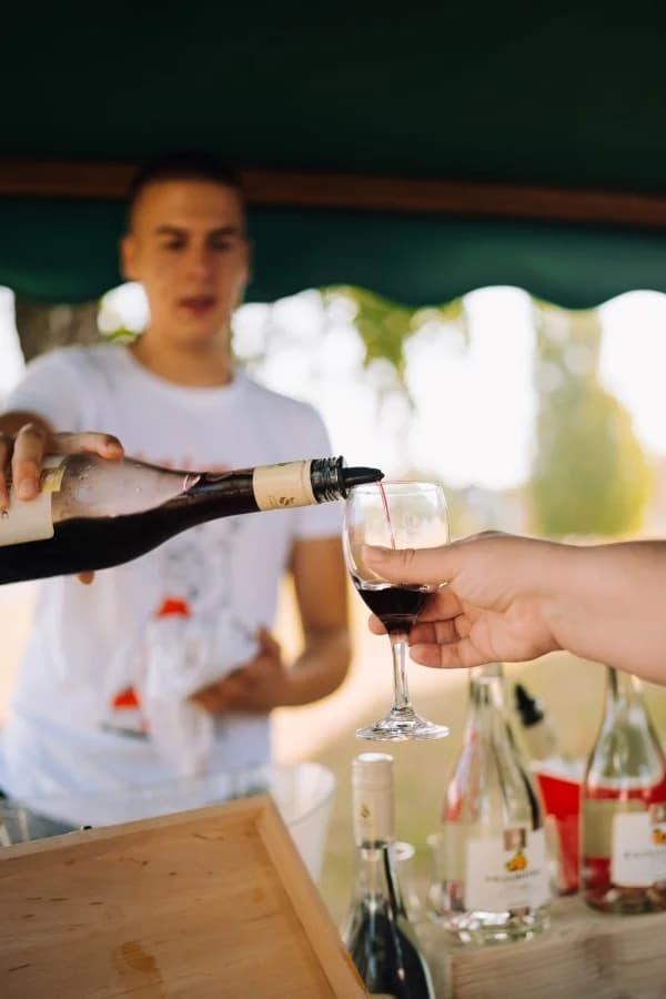 Uronite u Zlatnu dolinu uz vrhunska ića i pića na papučkom wine and walku „Ideš i piješ“