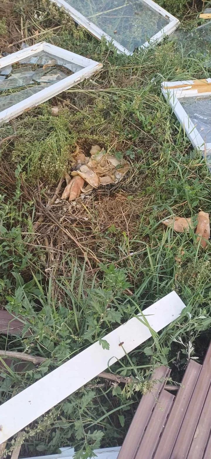 Stanari ulice u Dervišagi: ’Naša svakodnevica su ulica bez asfalta i divlji deponij!’