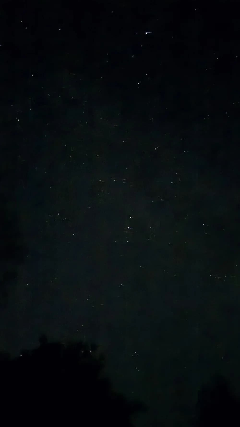 Požeški planinari promatrali suze sv. Lovre i vidjeli prekrasne prizore na nebu iznad Požege 