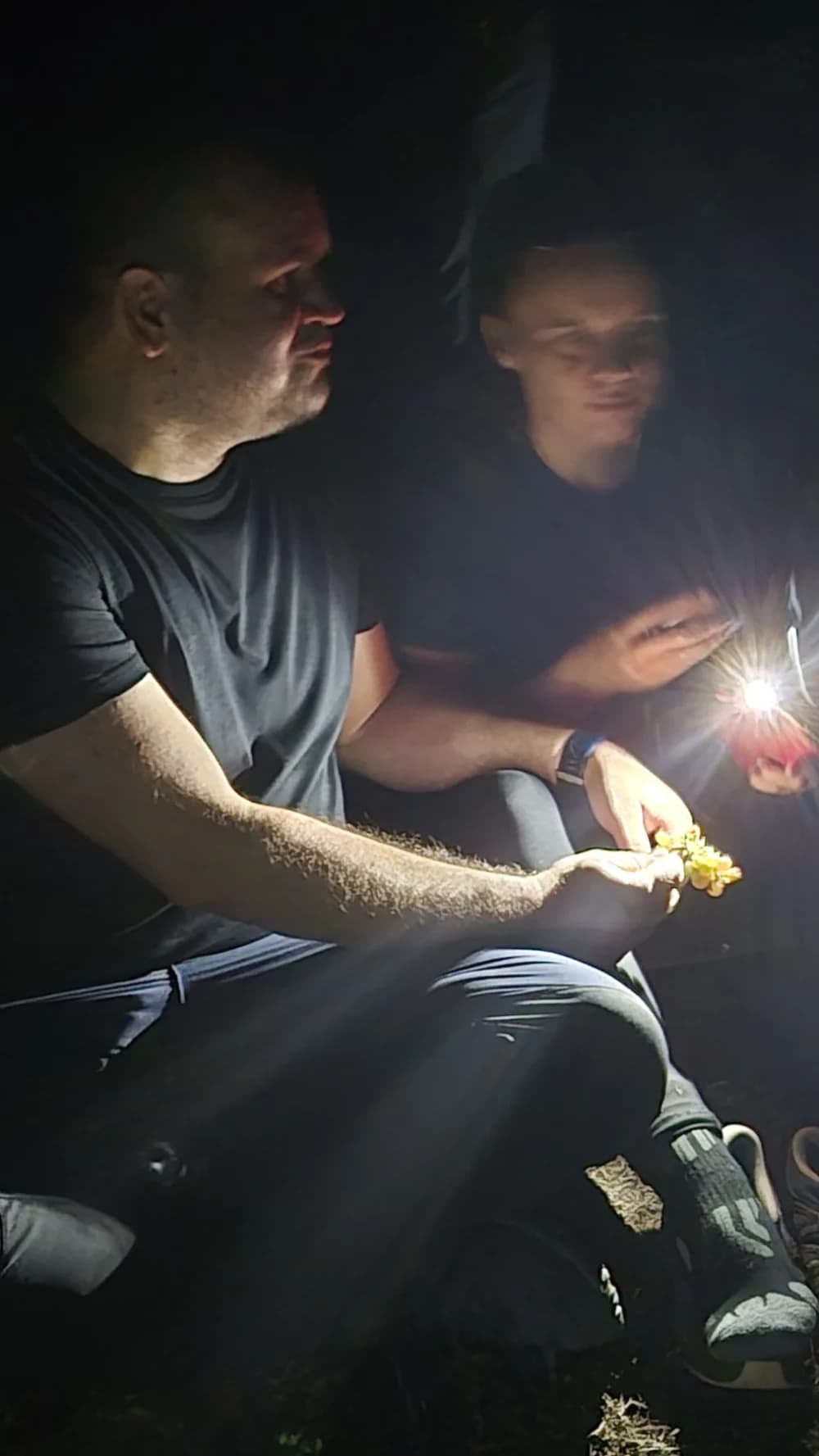 Požeški planinari promatrali suze sv. Lovre i vidjeli prekrasne prizore na nebu iznad Požege 