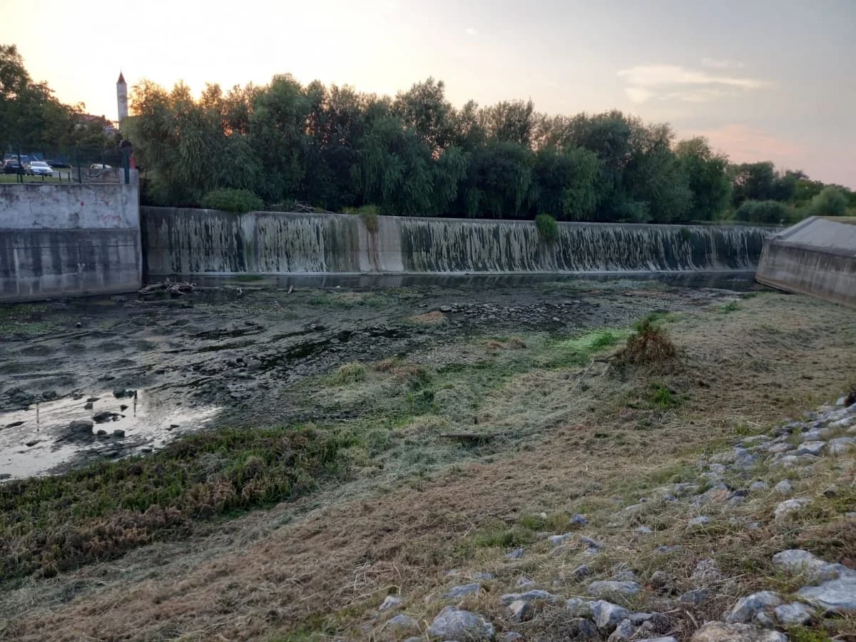 Užasni prizori u Pleternici: Pomor ribe u Orljavi