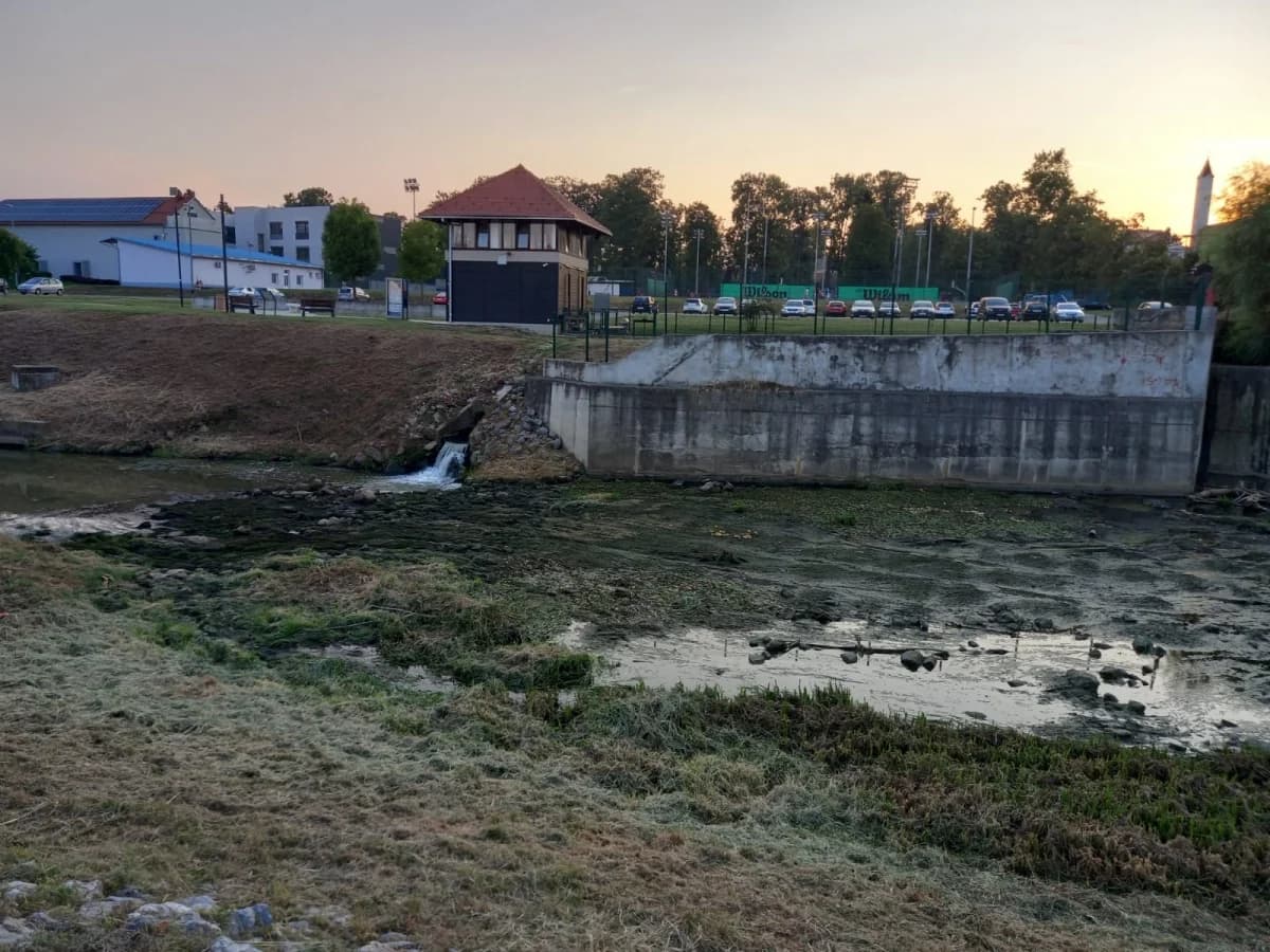 Užasni prizori u Pleternici: Pomor ribe u Orljavi