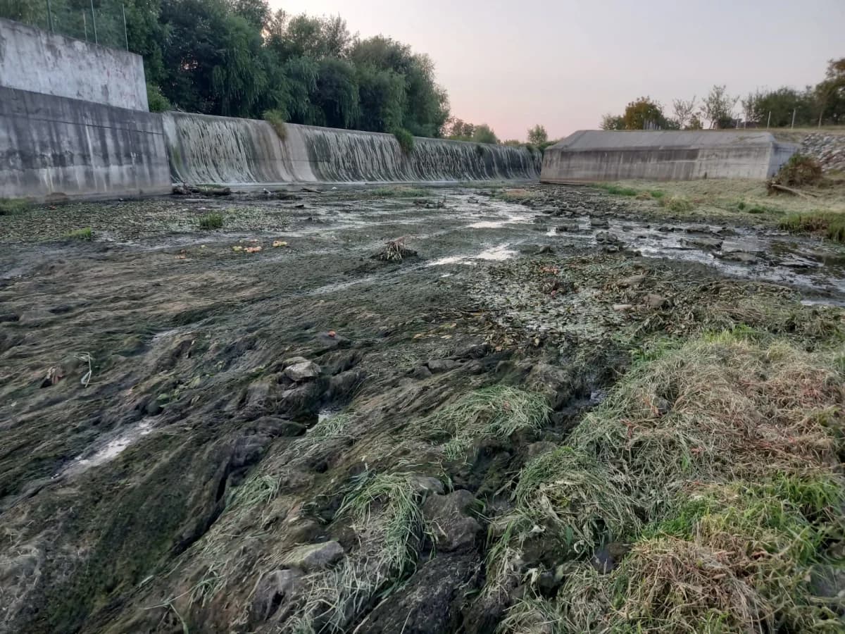 Užasni prizori u Pleternici: Pomor ribe u Orljavi