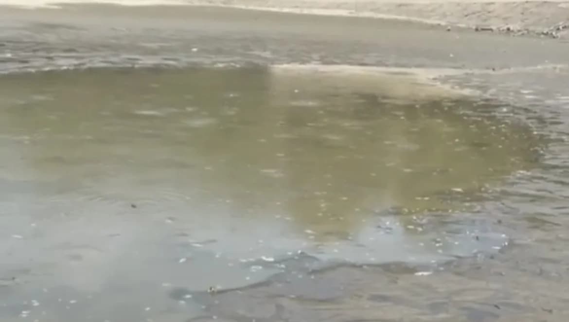 Pomor ribe i na jezeru iznad Kaptola